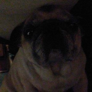 Meet your Posher, Noah